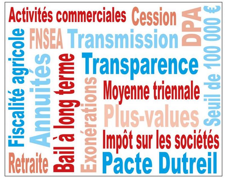 Le projet de réforme doit être présenté à la fin du premier semestre au Parlement. 