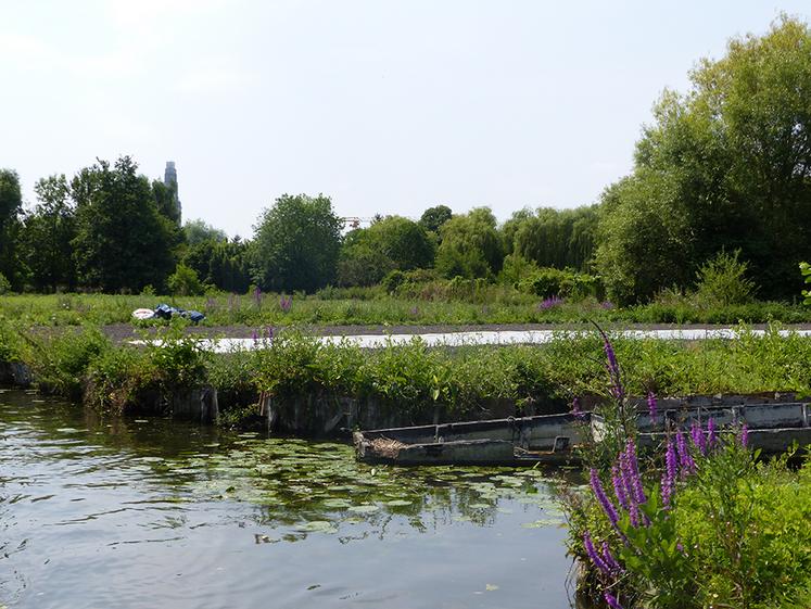 Une étude foncière est menée aux hortillonnages et à l’île Sainte-Aragone,  «pour maintenir la douzaine de maraîchers en place, voire développer l’activité». 