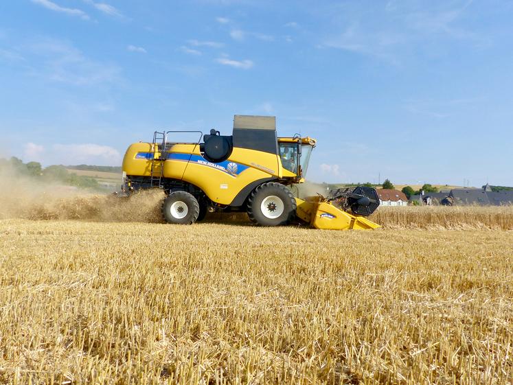 L’AGPB s’inquiète des conséquences du Green Deal dont la perte de 30 % de productivité céréalière.