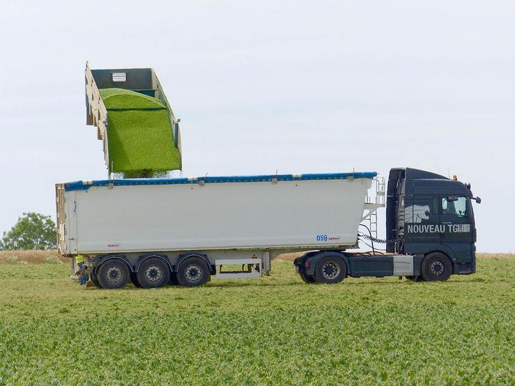 Présent dans une centaine de pays avec pas moins de 11 usines,  Bonduelle emploie 14 700 collaborateurs, dont 4 200 en France et 2 000 rien  que dans les Hauts-de-France.