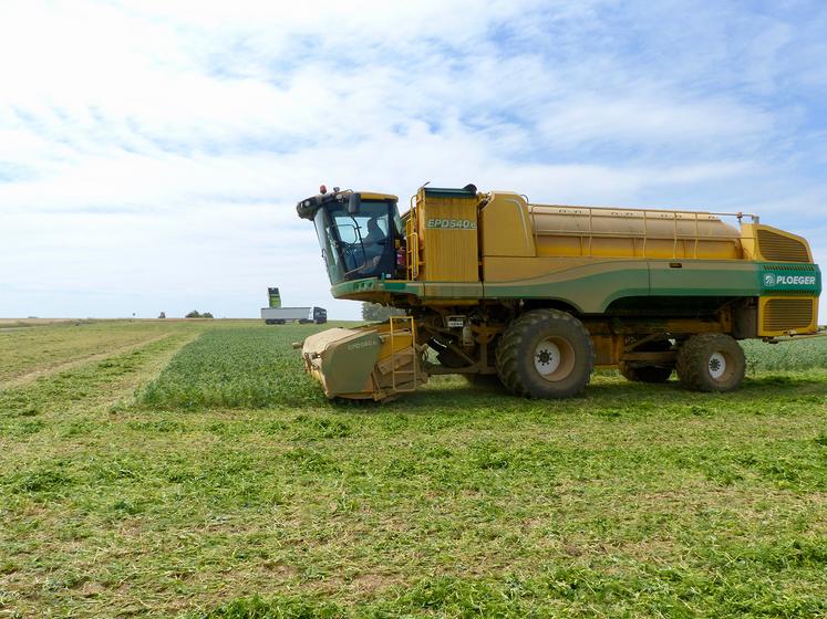 Pour la troisième campagne consécutive Bonduelle annonce augmenter le prix payé aux producteurs des Hauts-de-France.