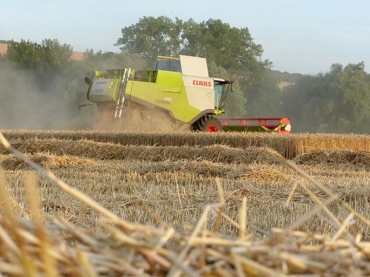 Environ 10 % des blés ont été battus dans la Somme fin de semaine dernière. Les rendements sont un peu décevants, mais la qualité était bonne. 