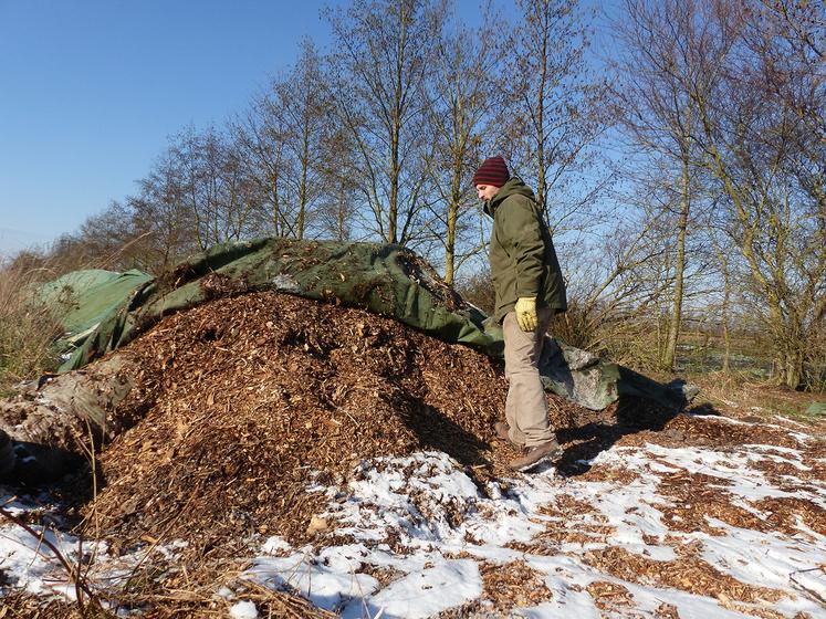 Les branches coupées chaque année sont transformées en copeaux de bois, qui servent à alimenter une chaudière.