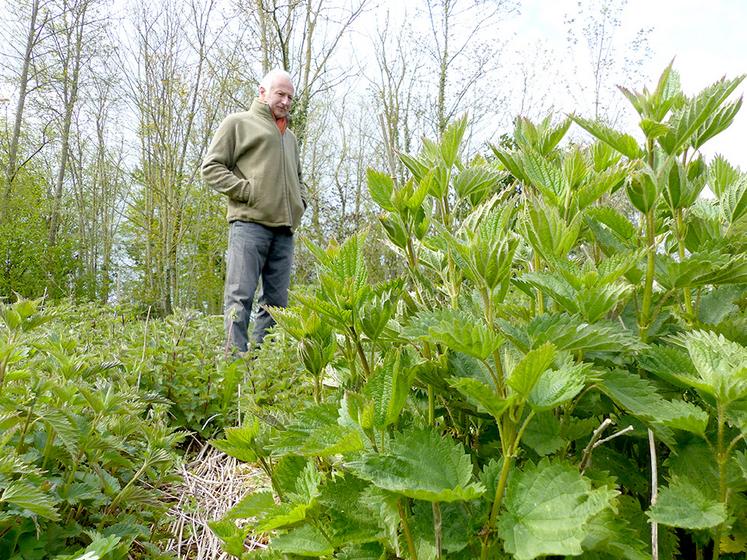 Hugues d’Hautefeuille a testé plusieurs itinéraires culturaux dans ses micro-parcelles, à Monsures. 