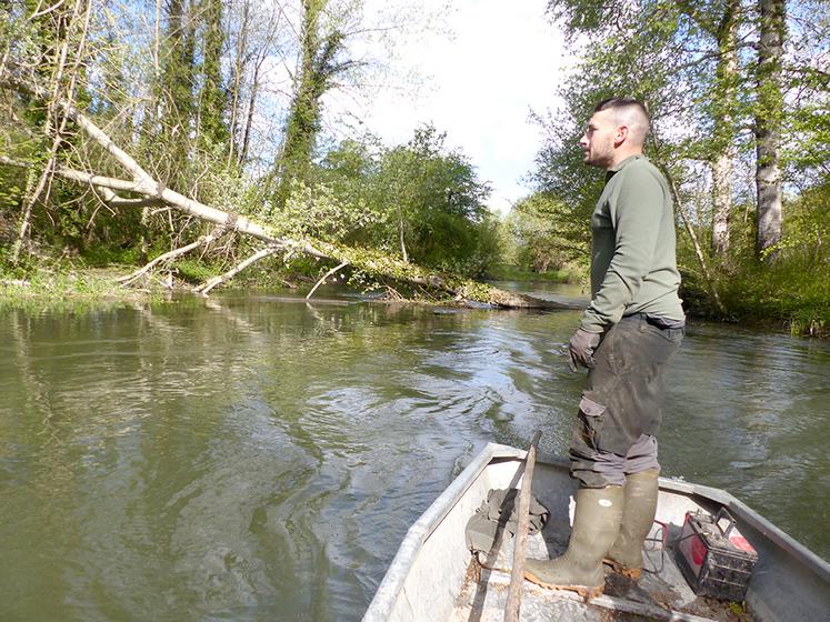 L’année dernière 156 arbres ont été dégagés rien que dans l’Avre.