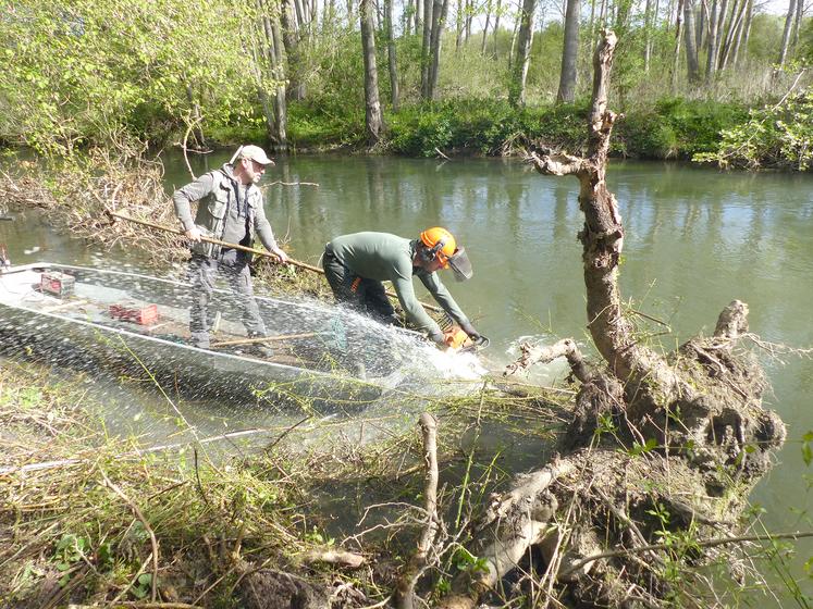 Le travail est physique mais aussi très technique. «Chaque arbre est différent», confie Kevin Koch (à dr.), aidé par son directeur, Dimitri Maige (à g.).