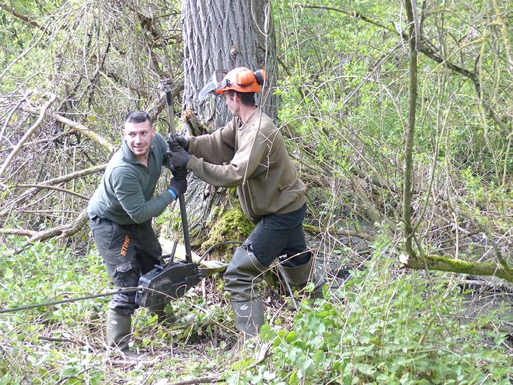 Quand le traceur ne peut pas accéder à la berge, il faut extraire l’arbre gorgé d’eau et de vase au tire-fort. 