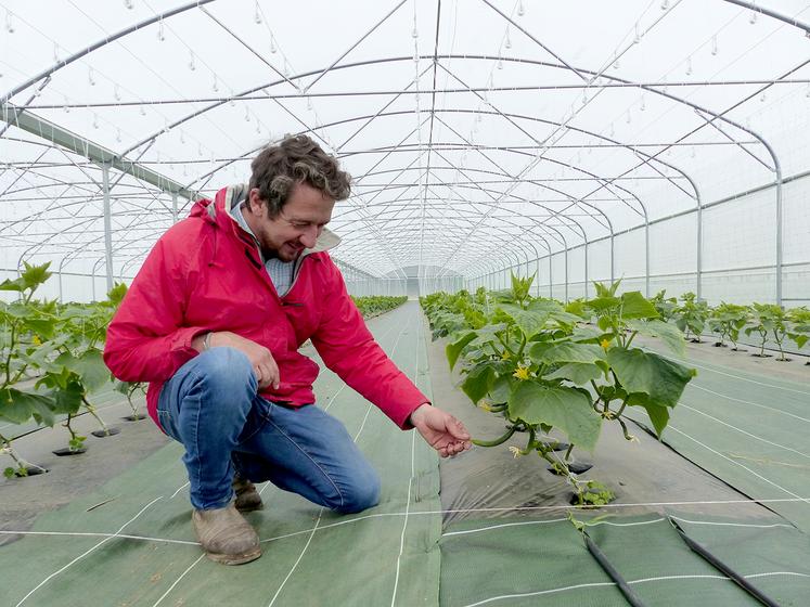 Pour Vincent Liénart, le plus gros défi est de parvenir à produire dans une terre complexe. 