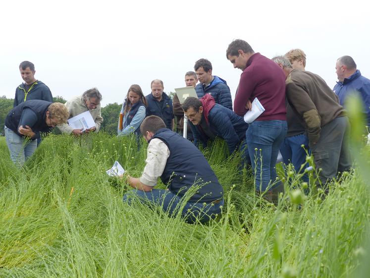 Les visites d’essais sont l’occasion de découvrir de nouvelles pratiques. 