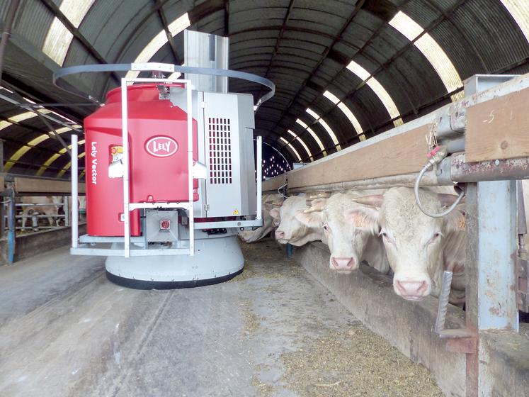 Le robot distribue les 30 kg par bovin en six à huit repas par jour : plus de refus, plus  de concurrence à l’auge, une meilleure valorisation des aliments… Bref, une meilleure performance. 