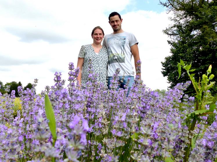 Audrey et Laurent Massot ont planté les premiers pieds de lavandin en 2018, puis ont diversifié les espèces des plantes chaque année. 