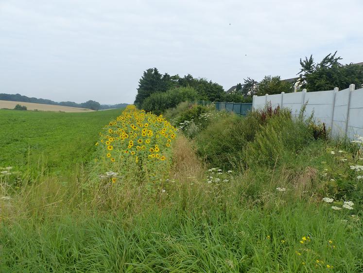 En cas de non-respect de la réglementation, les sanctions peuvent être lourdes.