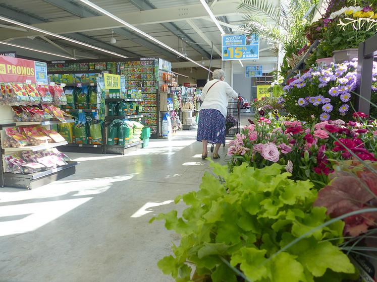 Avec 350 m2 de surface de vente, ainsi qu’une réserve, le nouveau Gamm vert village de Poix se targue d’un rayon végétal bien fourni. 