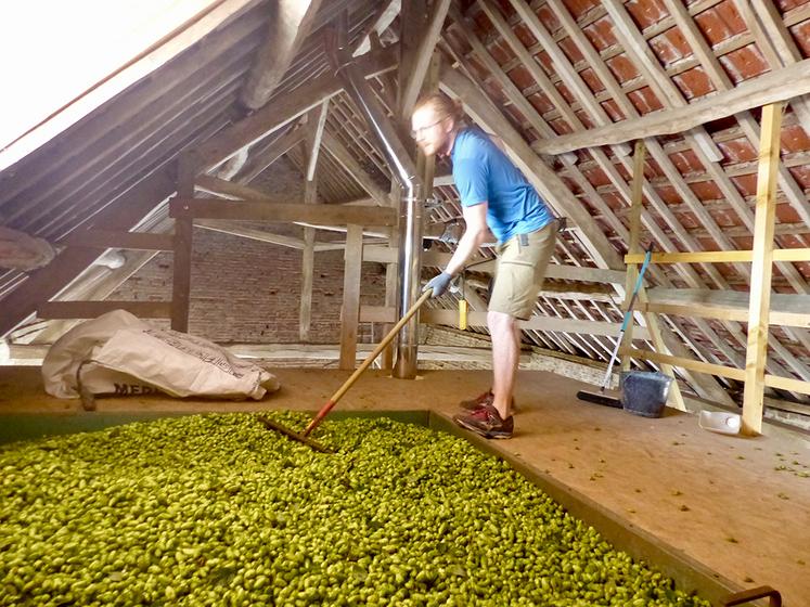 Les cônes sont placés au séchoir. «En huit heures, ils passent de 80 % à 14 % d’humidité», précise Paul Decoëne, membre de la famille. 