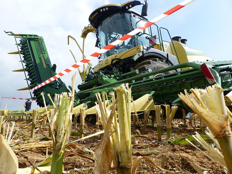 Grâce à ce nouveau bec de Krone, les cannes de maïs au sol sont bien déchiquetées, donc sèchent plus vite. C’est autant moins de nourriture apportée aux parasites.