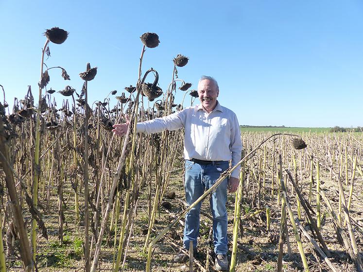 Malgré la déception à la récolte, Jean-Michel Van Ooteghem croit en cette nouvelle tête d’assolement pour ses petites terres. Il compte en semer 18 ha au printemps prochain. 