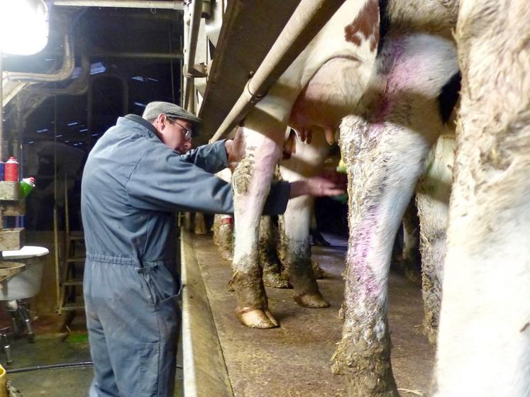 À trente-quatre ans, Charles Seigneur est un passionné d’élevage laitier. Mais il se pose très sérieusement la question  de poursuivre l’activité. «La rémunération est loin d’être cohérente avec la charge de travail.» 