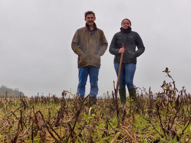 Nicolas Mourier, épaulé d’Angélique, apprentie étudiante en agronomie à l’UPJV, poursuit l’amélioration de ses pratiques. Ici, un essai de différents couverts dans du blé. 