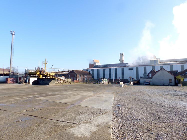 Le marché dynamique du sucre est de bon augure. 2 000 ha de plus pourraient être emblavés au printemps, dans un rayon de 50 à 60 km autour de Sainte-Émilie. 