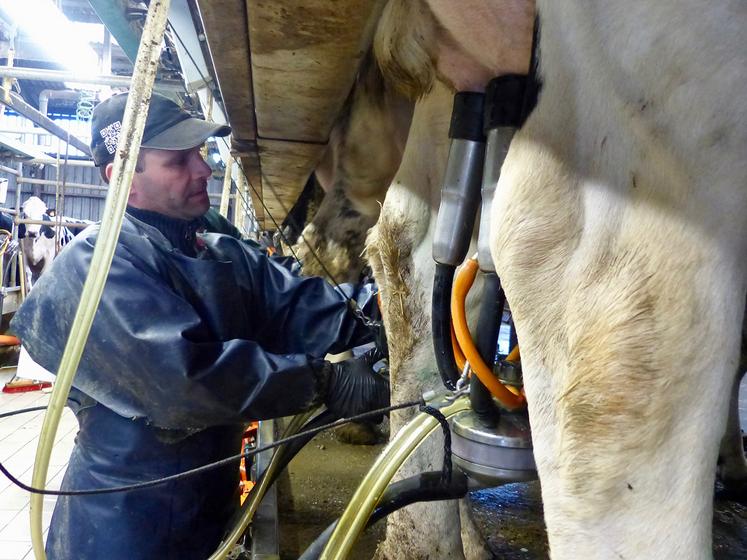 Pour Vincent Potriquet, la viabilité de son exploitation passe par la bonne santé de ses vaches et de ses terres. 