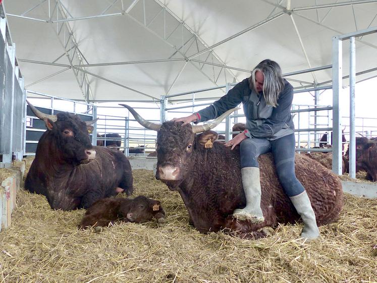 À l’intérieur, les animaux bénéficient d’une ventilation optimale, de places à l’auge  et pour le couchage. 