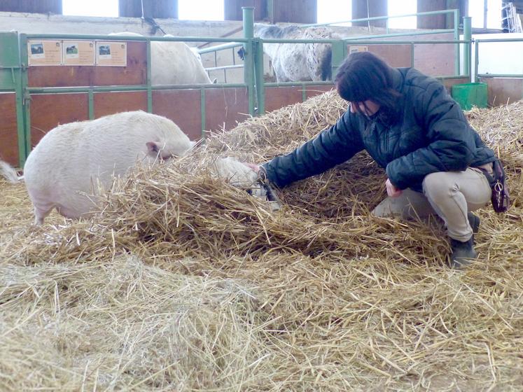 Des animaux sont en liberté pour plus de proximité avec les visiteurs. 