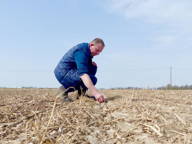 Cette quatrième année de semis de betteraves en strip-till est sans doute la meilleure pour Bernard Mercier. 