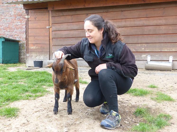 Avec sa ferme pédagogique en complément de l’éco-pâturage, Aurélie Dorado retrouve le contact humain qui lui manquait. 