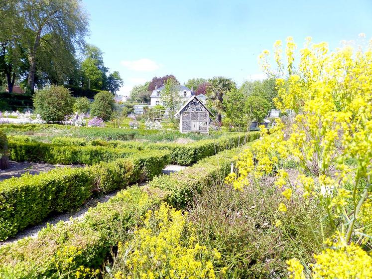 Des plantes oubliées comme la waide, qui a fait la renommée d’Amiens au Moyen-Âge,  sont cultivées. 