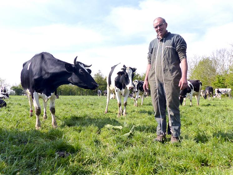 En pleine période de pâturage, Franck Dehondt parvient à réduire de trois-quarts la ration de ses vaches. 