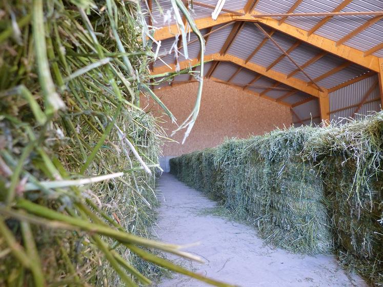 Le bâtiment est capable de sécher l’équivalent de 16 ha de luzerne pressée en trois ou quatre jours. 