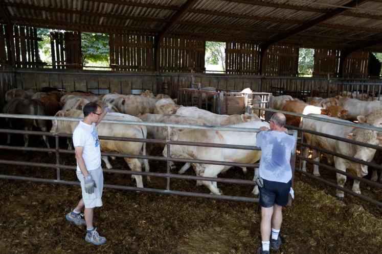La santé physique et mentale des éleveurs représente un risque réel qu’il convient de ne pas négliger et qui concerne chacun d’entre nous.