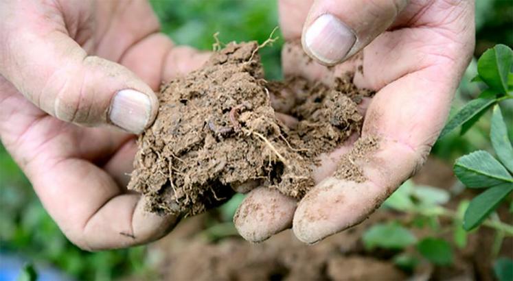 Les exploitations engagées dans des pratiques agroécologique présenteraient des performances supérieures à d’autres, avec des résultats hétérogènes.