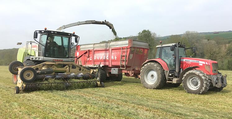 Chantier d’ensilage de ray-grass dans la Somme.