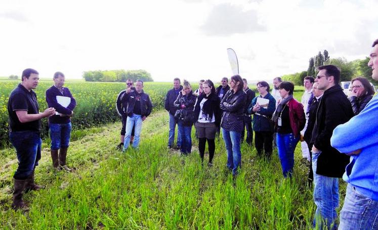 Présentation des différentes cultures à un public non-initié.