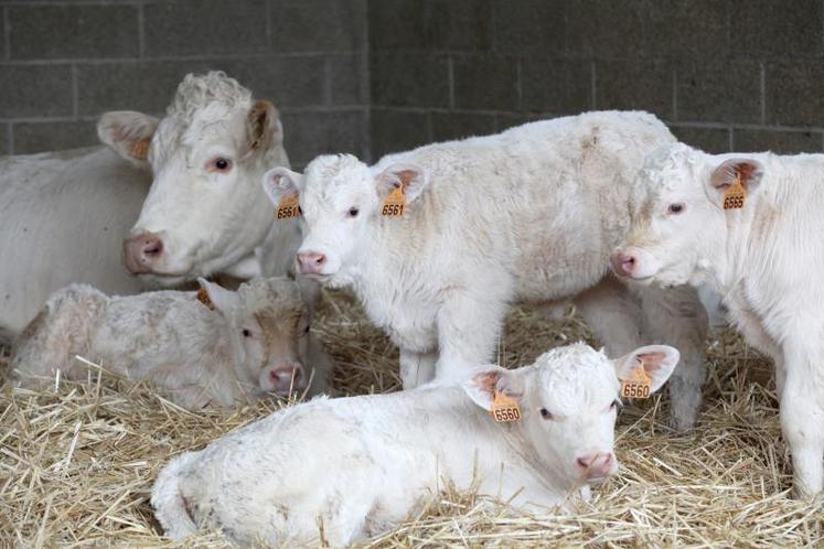 D’un point de vue économique, favoriser le renouvellement permet d’augmenter la productivité et de réduire ainsi le manque à gagner.