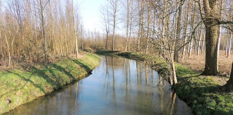 La rivière L’Omignon, à Monchy-Lagache, dans la Somme.