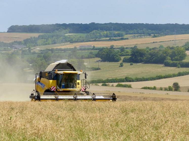 Comme lors de la récolte précédente, les résultats en pois et colza sont décevants. Ils ont souffert des fortes chaleurs. Mais ceux du blé et de l’orge de printemps sont intéressants. 