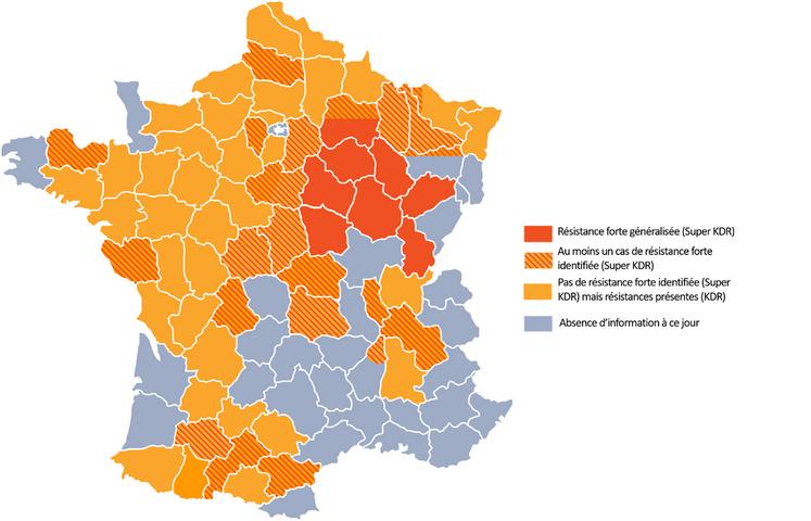 Carte des résistances du colza aux attaques de grosse altise.