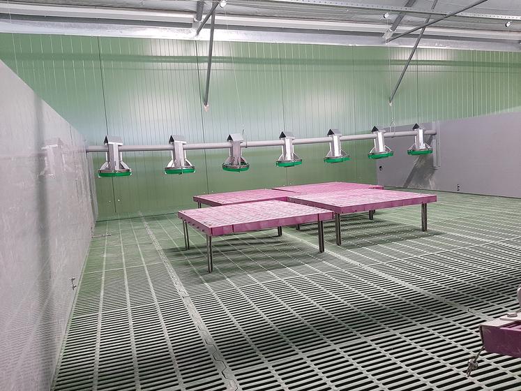 En post-sevrage, les lapins sont en liberté, permettant leur mouvement et les contacts sociaux. 