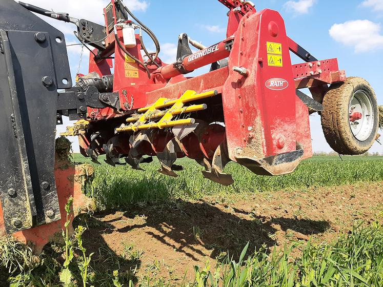 Une attention particulière à la destruction des couverts