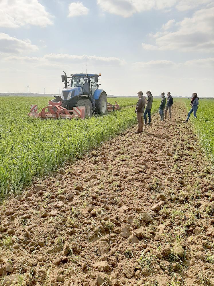 Coût de destruction des couverts végétaux à la loupe au GEDA du Ternois