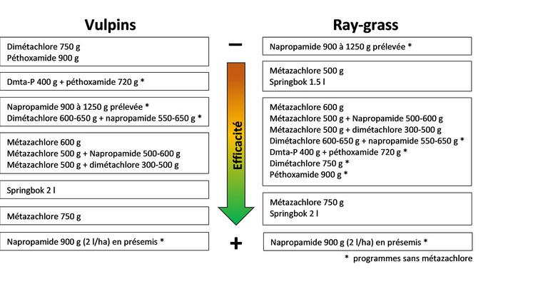 Synthèse des efficacités sur vulpins et ray-grass des applications au semis d’après les essais de Terres Inovia.