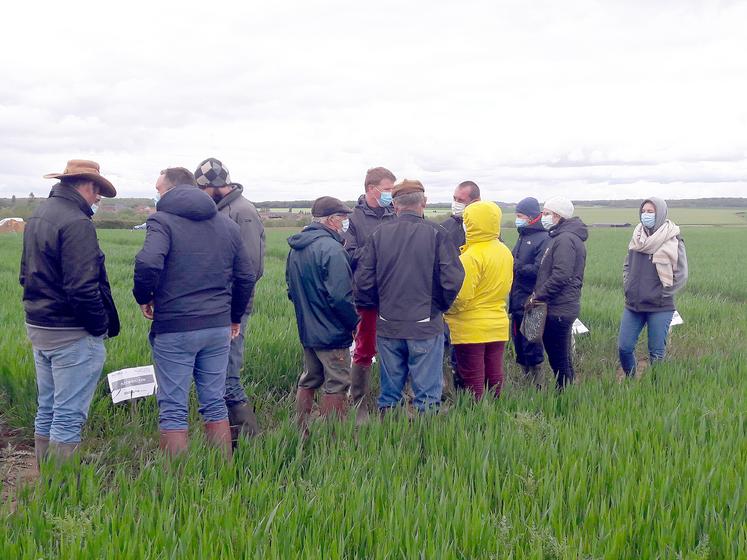 L’après-midi était consacrée à la visite d’essais bio développés sur l’exploitation de Thomas Bourgeois. 