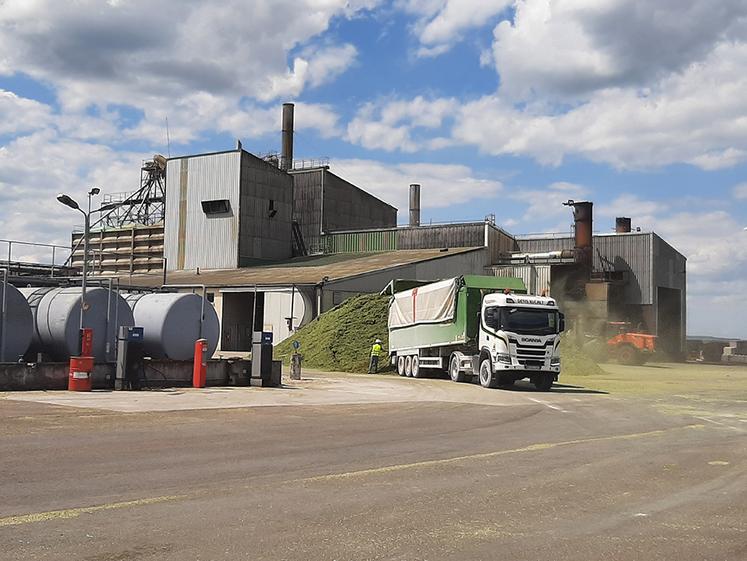 L’usine d’Allemanche-et-Launay-Soyer est la deuxième de la coopérative Tereos parmi ses quatre unités de transformation de luzerne. 