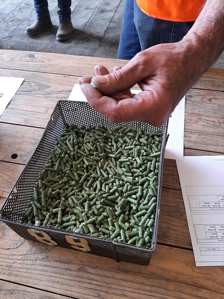 La luzerne peut être valorisée en voie sèche ou humide, la particularité  de la seconde méthode étant de concentrer le taux de protéines. 