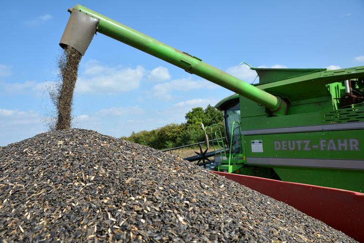 La campagne tournesol 2021 se caractérise dans les régions Nord et Est par un cycle long du fait d’un déficit  de température et d’une alimentation hydrique non limitante.