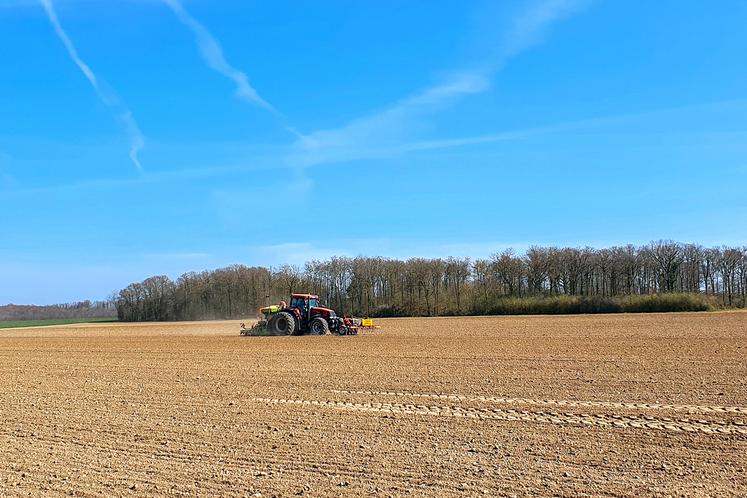 Le liniculteur doit viser un peuplement de 1 500 à 1 600 plantes viables par mètre carré. Une densité trop importante génère des lins petits et sensibles  aux bioagresseurs. 