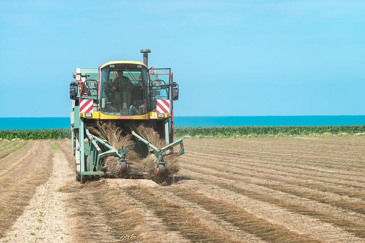 Les conditions d’implantation puis de récolte contribuent largement au résultat final. 