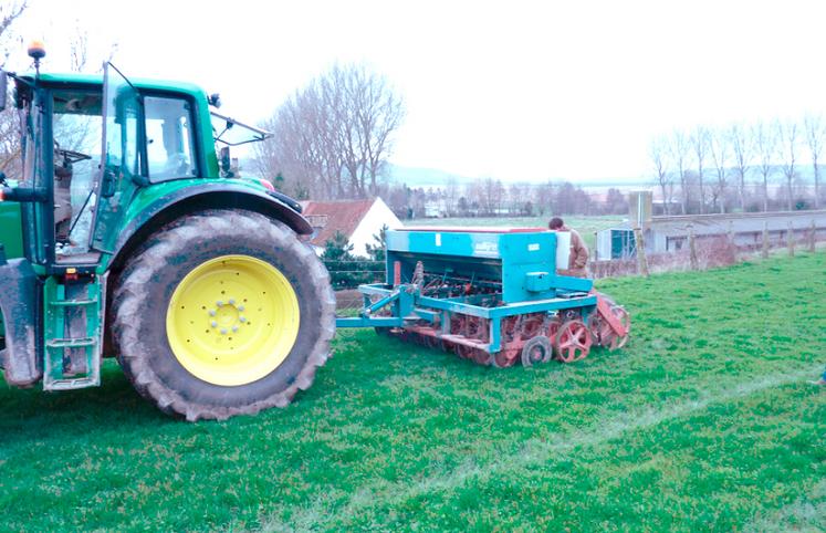 Sursemis de trèfle blanc par un semoir à disques. 